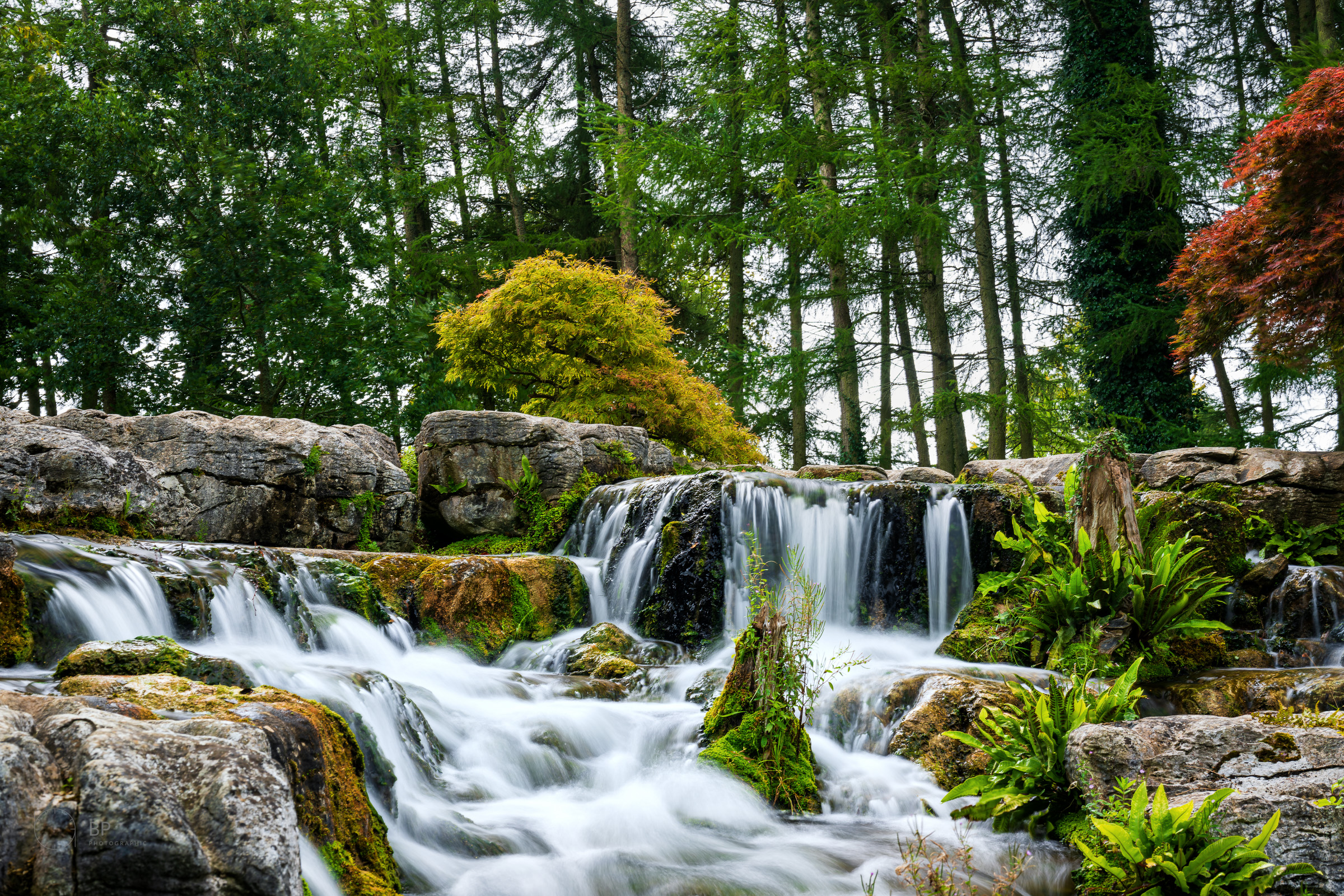 Japanese gardens waterfall